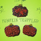 Pumpkin Truffles!